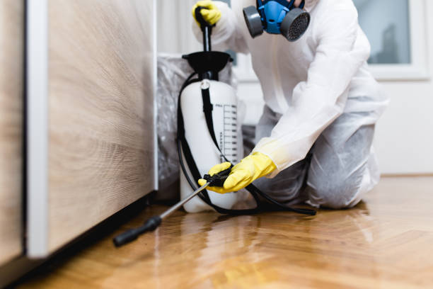 Best Local Pest Control Services  in Point Baker, FL