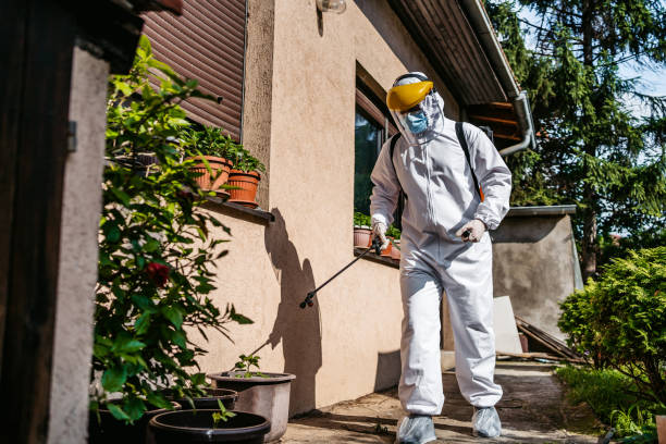 Best Mosquito Control Services  in Point Baker, FL