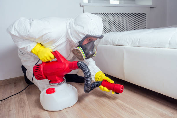 Best Insect Control  in Point Baker, FL