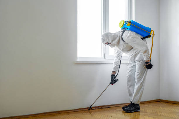 Best Cockroach Control Services  in Point Baker, FL